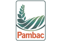 pambac-small